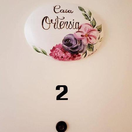 Casa Ortensia Formia Eksteriør billede